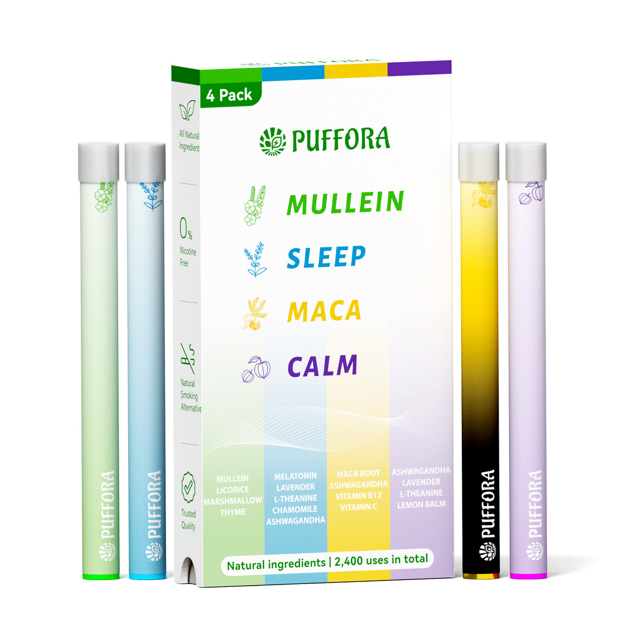 Daily Lifestyle Set – 4 In 1 Box