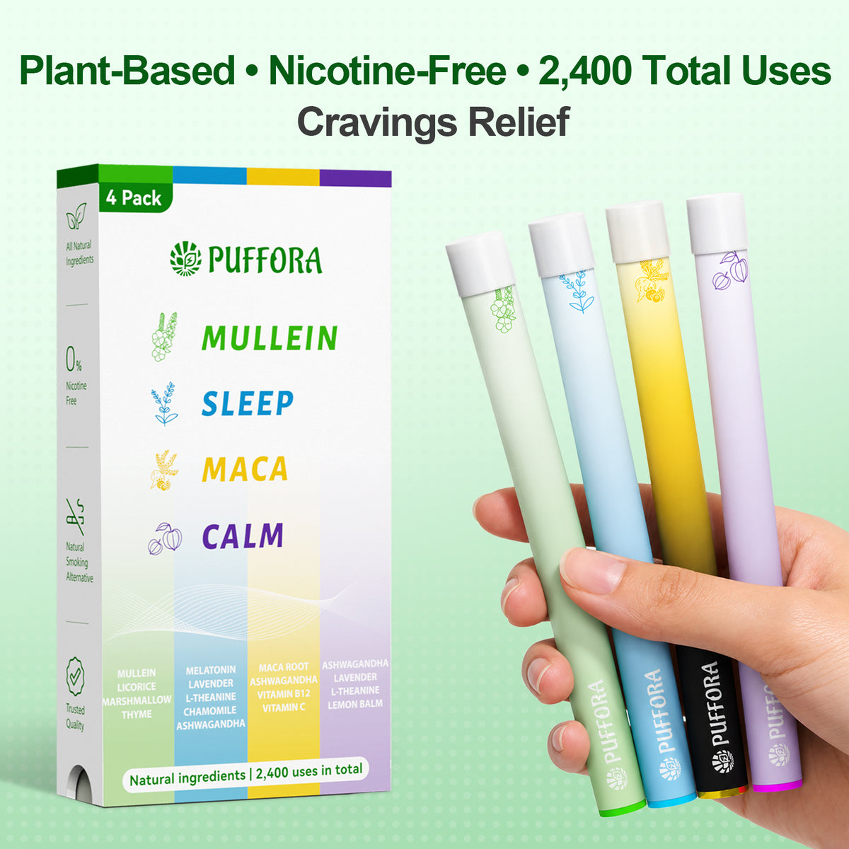 Daily Lifestyle Set – 4 In 1 Box