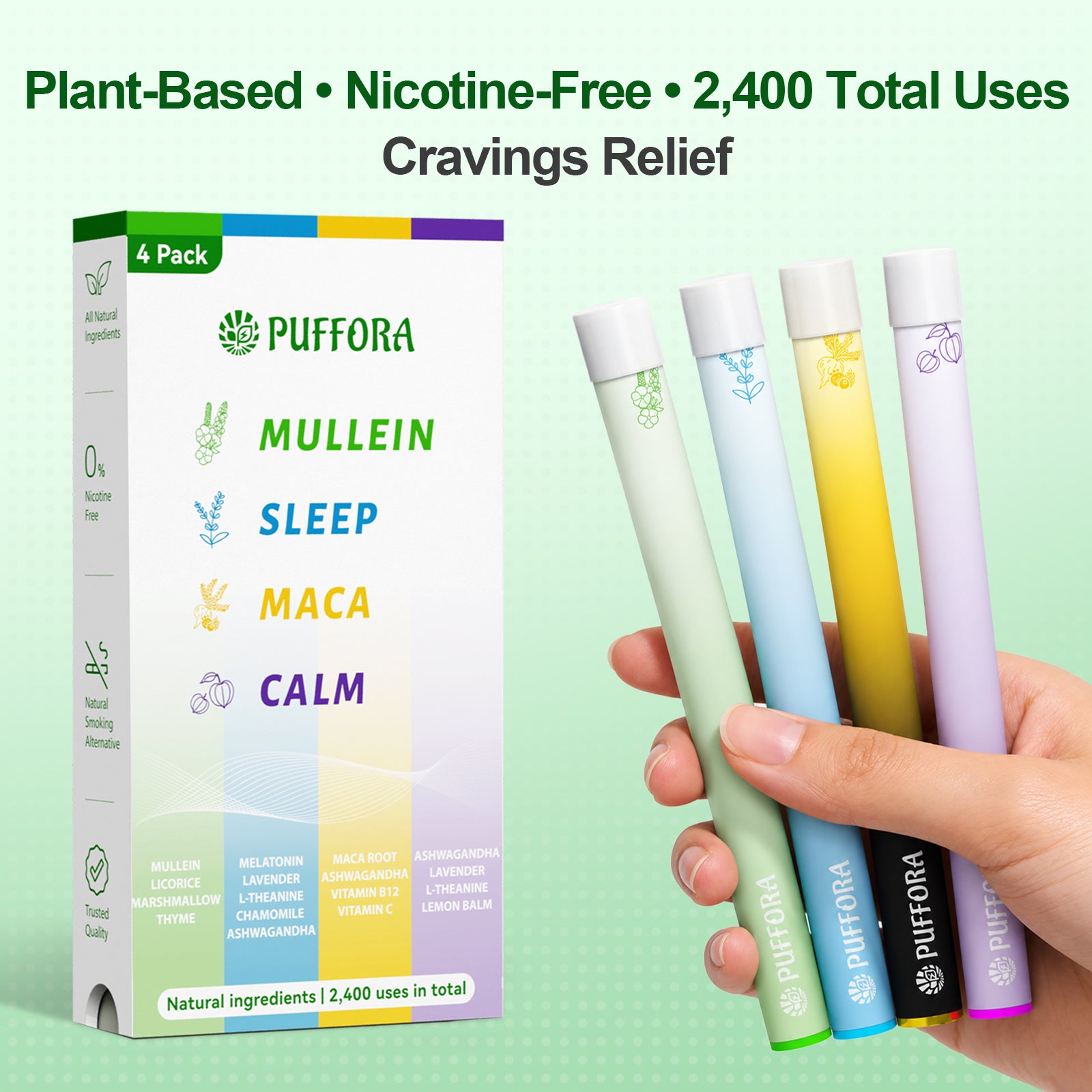 Daily Lifestyle Set – 4 In 1 Box