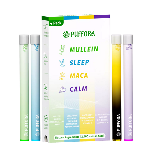 Daily Lifestyle Set – 4 In 1 Box