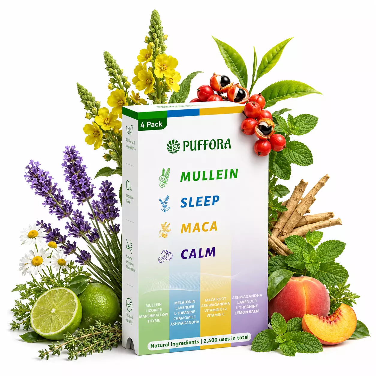 Daily Lifestyle Set – 4 In 1 Box