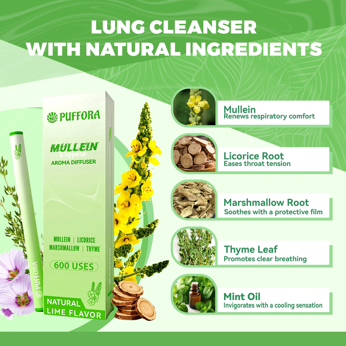 Daily Lifestyle Collection – 3 In 1 Set